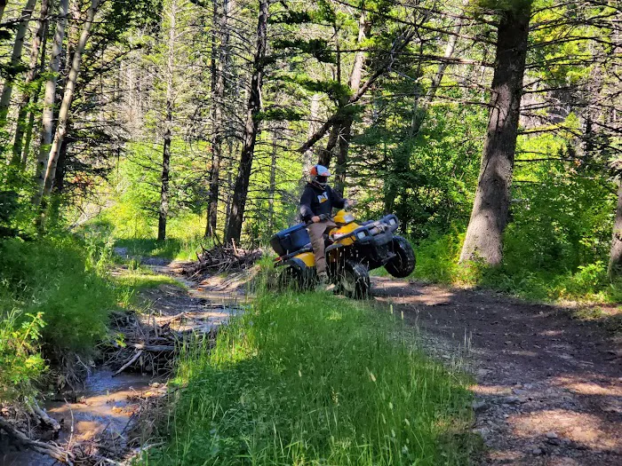 Timber Cr Dispersed Campground Picture 3