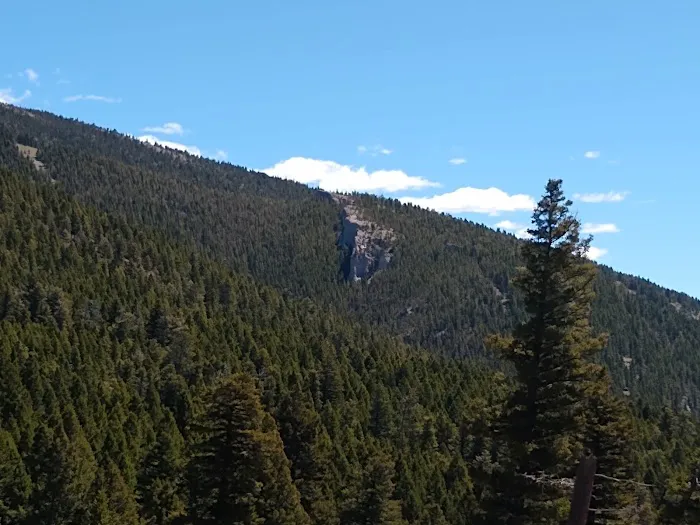 Timber Cr Dispersed Campground Picture 5