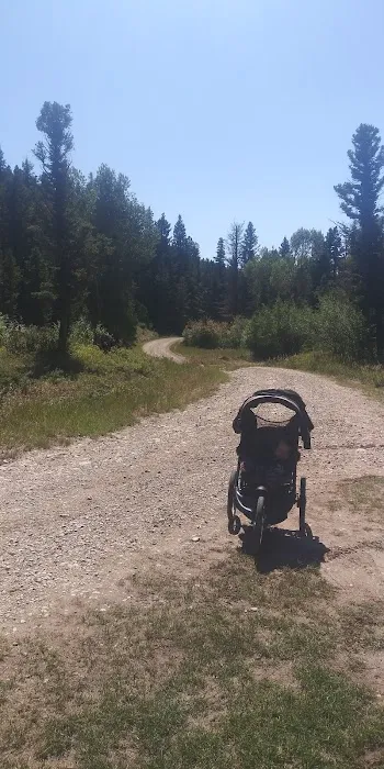 Timber Cr Dispersed Campground Picture 7