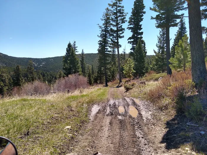 Timber Cr Dispersed Campground Picture 4