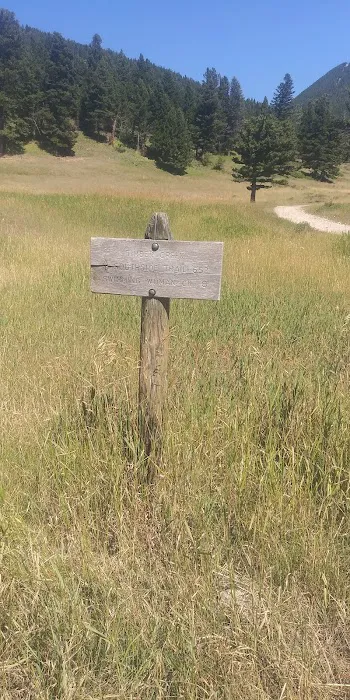 Timber Cr Dispersed Campground Picture 8