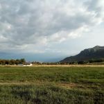 HONEYS TRUMP VOTING ROUGH CAMP