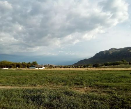 HONEYS TRUMP VOTING ROUGH CAMP