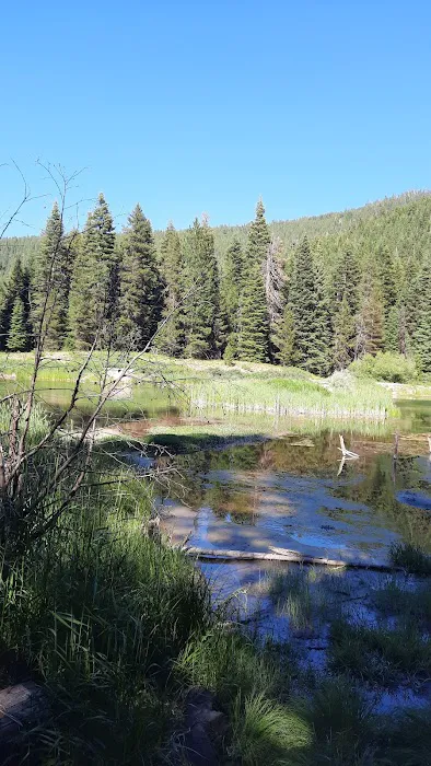 Trout Farm Campground Picture 1