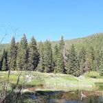 Trout Farm Campground