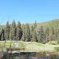 Trout Farm Campground ico