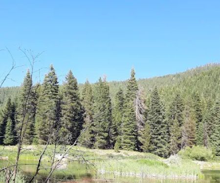 Trout Farm Campground