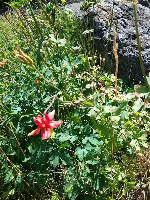 Trout Farm Campground Picture 6