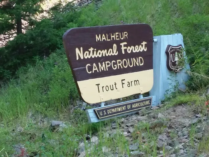 Trout Farm Campground Picture 7