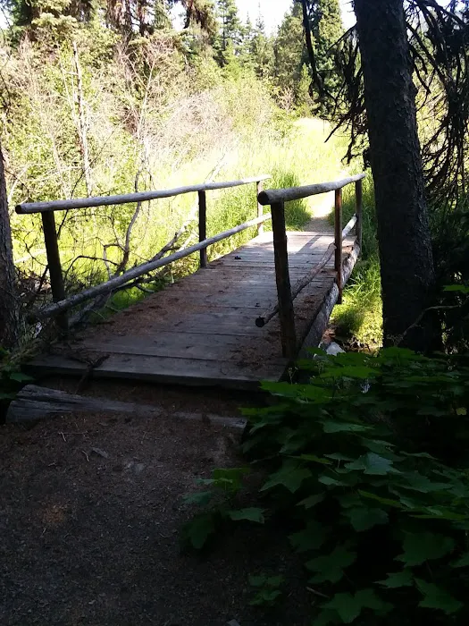 Trout Farm Campground Picture 9