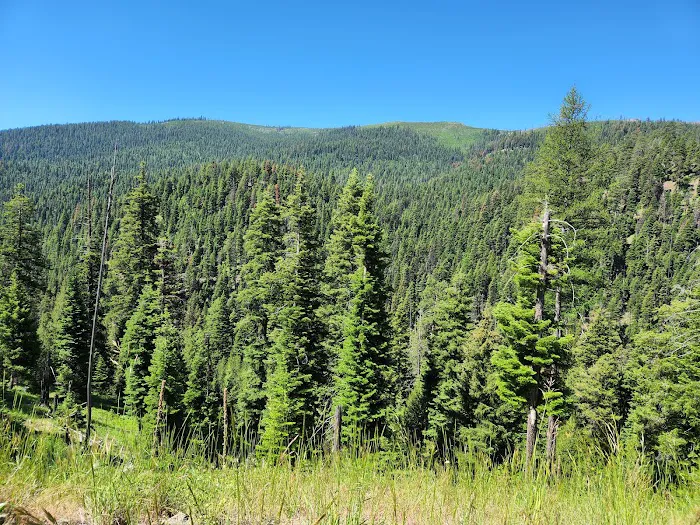 Crescent Campground Picture 7