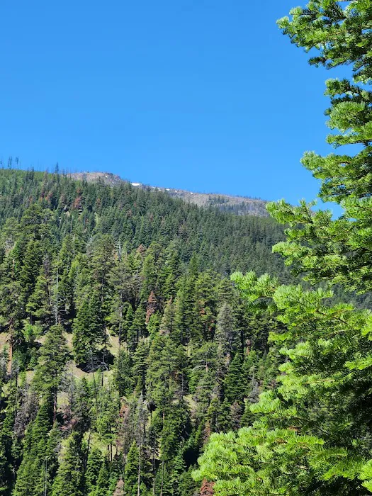 Crescent Campground Picture 4