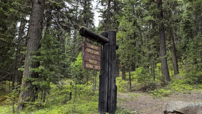 Strawberry Campground Picture 5