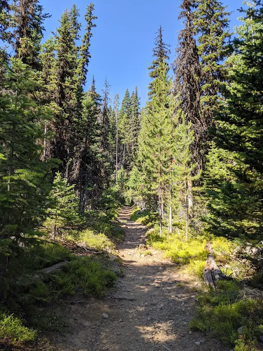 Strawberry Campground Picture 4