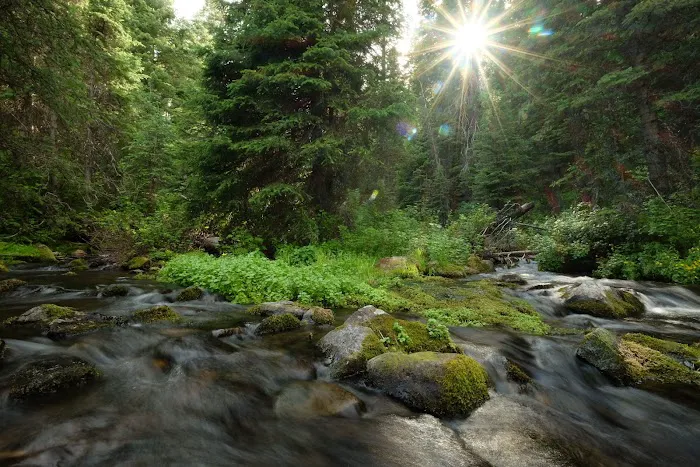 Strawberry Campground Picture 8