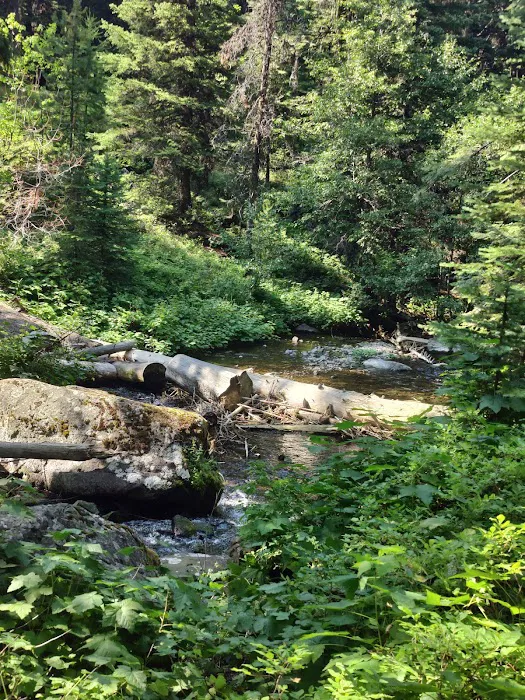 Strawberry Campground Picture 9