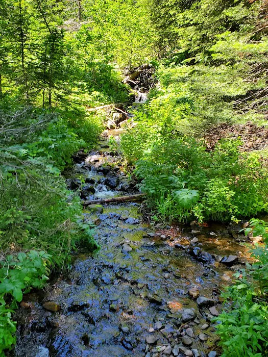 Strawberry Campground Picture 6