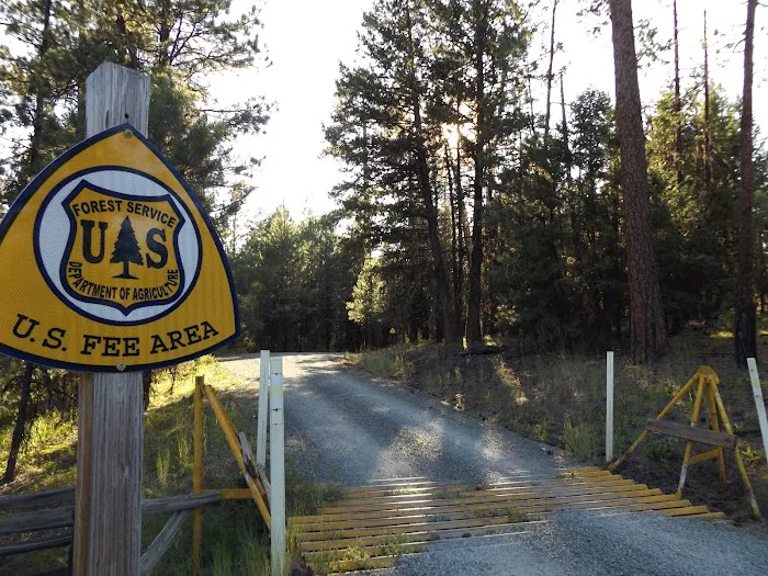 Starr National Forest Campground Picture 1