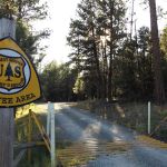 Starr National Forest Campground