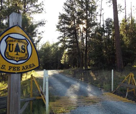 Starr National Forest Campground