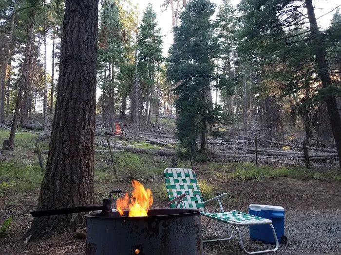 Starr National Forest Campground Picture 6