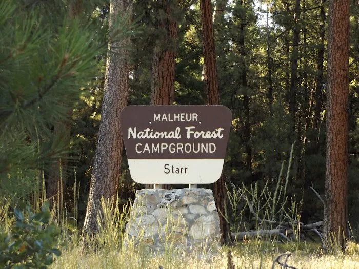 Starr National Forest Campground Picture 5