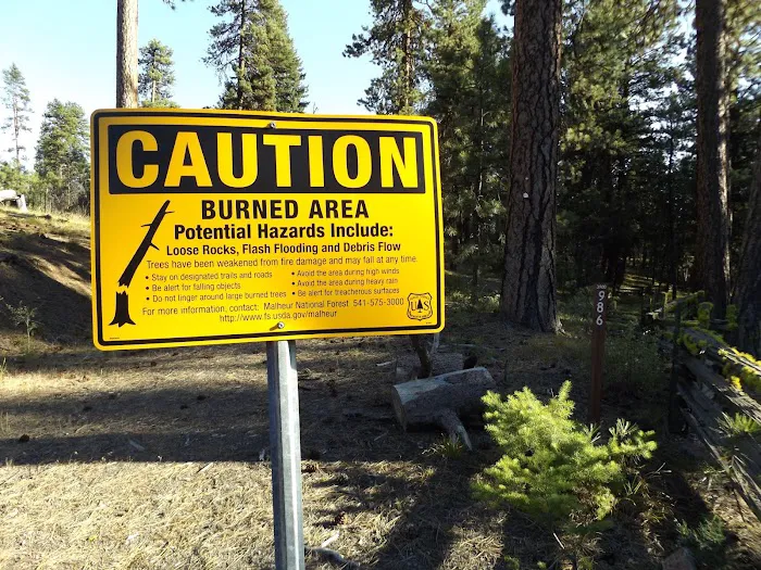 Starr National Forest Campground Picture 8