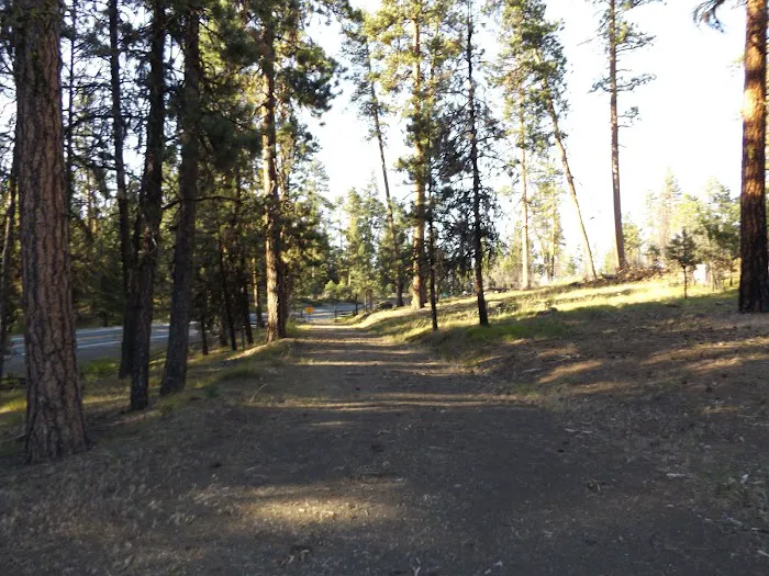 Starr National Forest Campground Picture 10