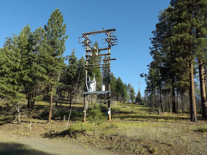 Starr National Forest Campground Picture 7