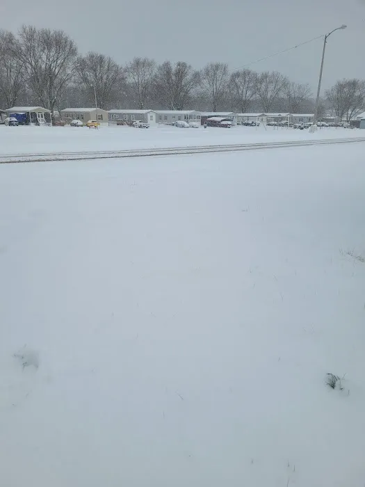 Belleglade Mobile Home Community Picture 8