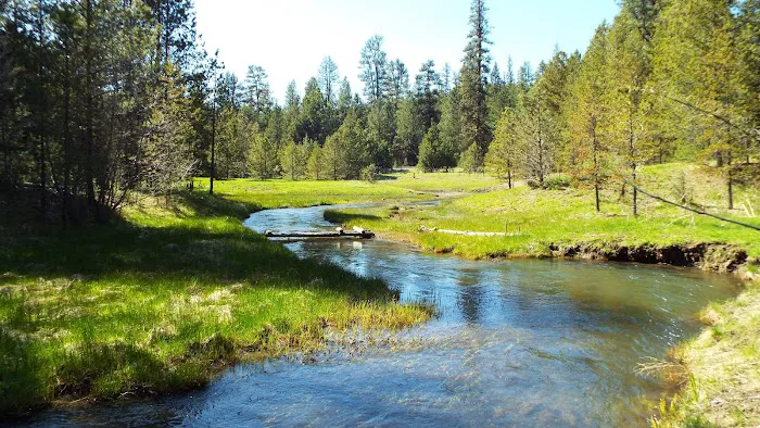 Oregon Mine Campground Picture 1