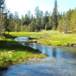 Oregon Mine Campground