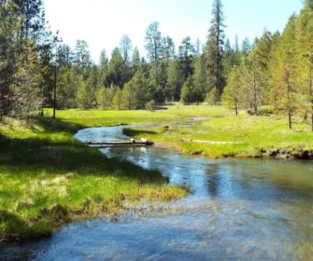 Oregon Mine Campground