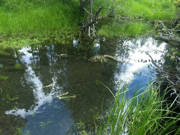 Oregon Mine Campground Picture 9