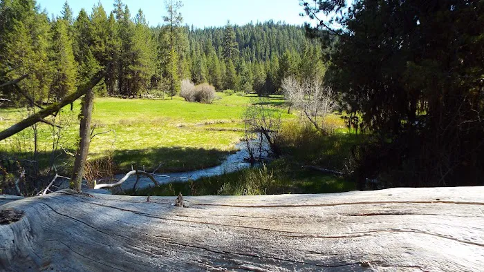 Oregon Mine Campground Picture 4