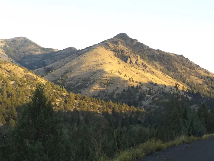 Billy Fields Forest Camp Picture 6