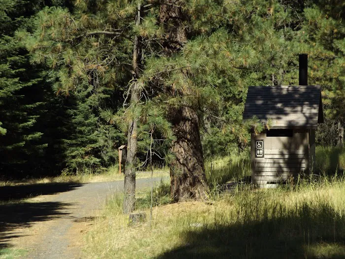 Billy Fields Forest Camp Picture 4