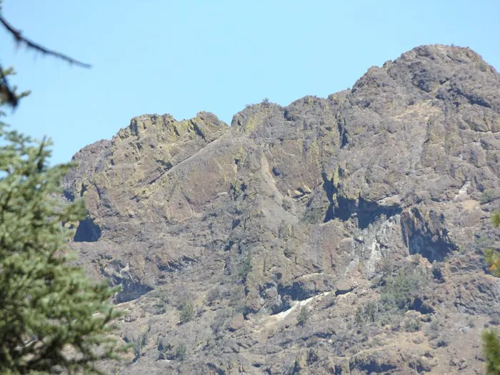 Billy Fields Forest Camp Picture 5