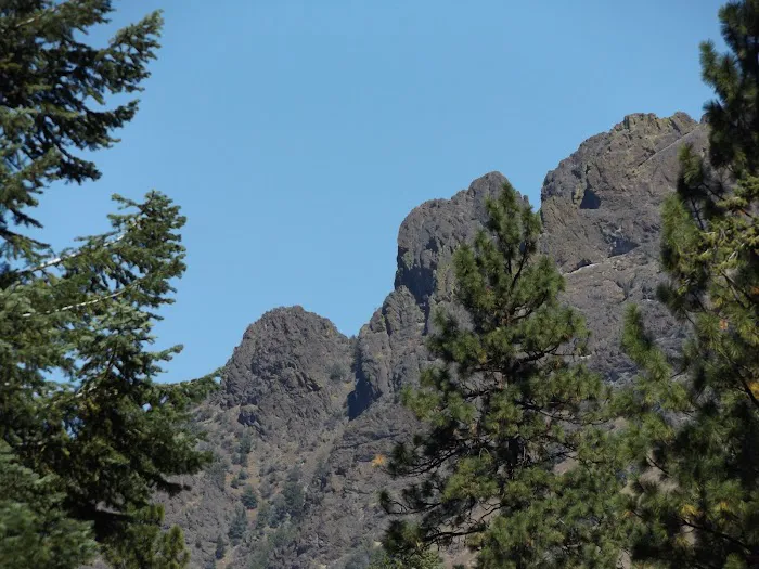 Billy Fields Forest Camp Picture 1