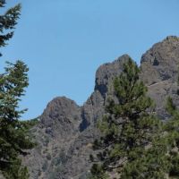 Billy Fields Forest Camp ico