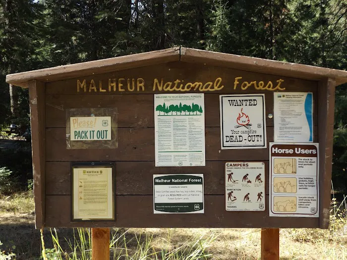 Billy Fields Forest Camp Picture 7