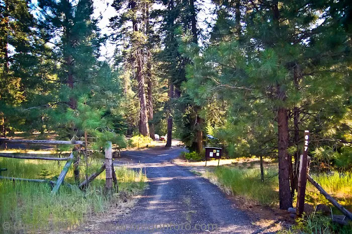 Billy Fields Forest Camp Picture 10