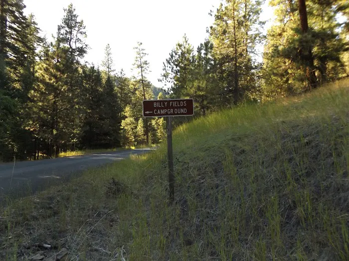 Billy Fields Forest Camp Picture 8