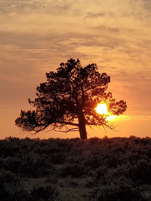 Frazier Springs Campground Picture 9