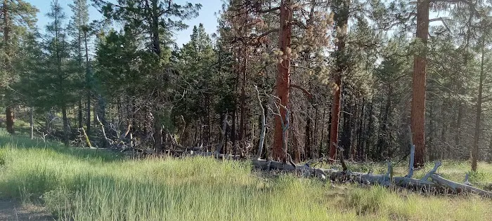 Mud Springs Horse Camp Picture 2