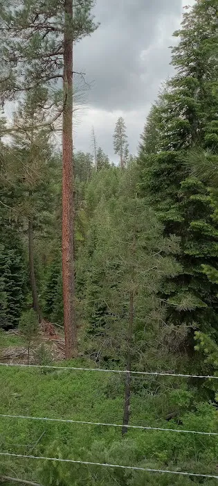 Mud Springs Horse Camp Picture 1