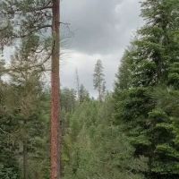 Mud Springs Horse Camp ico