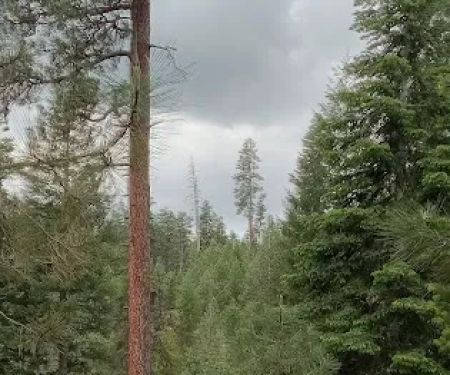 Mud Springs Horse Camp