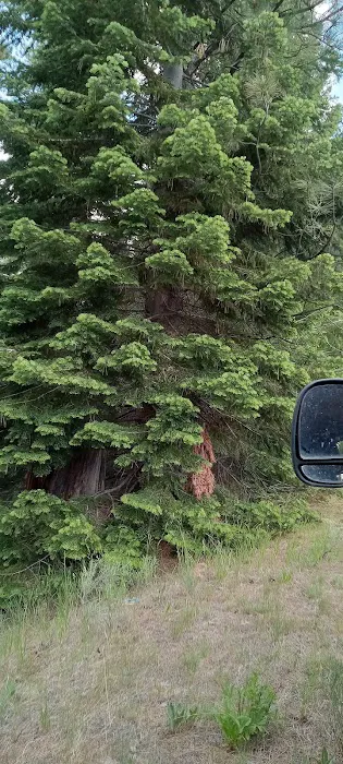 Mud Springs Horse Camp Picture 5