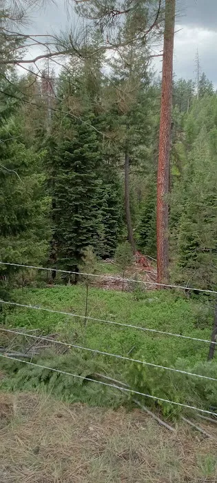 Mud Springs Horse Camp Picture 6